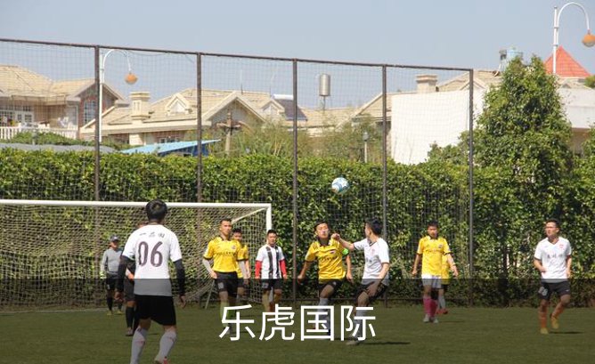 乐虎国际介绍